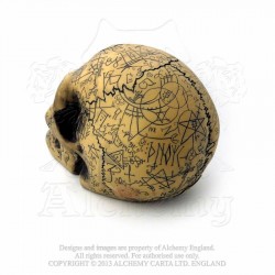 V1 Omega Skull