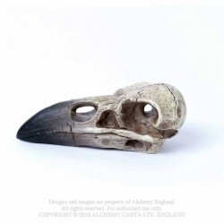 V66 Reliquary Raven Skull 
