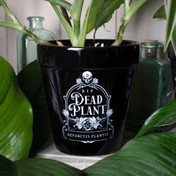 DEAD PLANT PLANT POT GPP7
