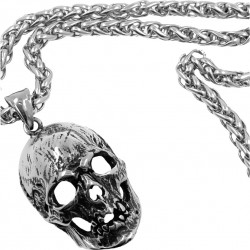 SSTPD0195  Skull Necklace...