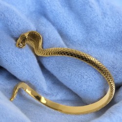 SSTBR0122  Gold Snake...